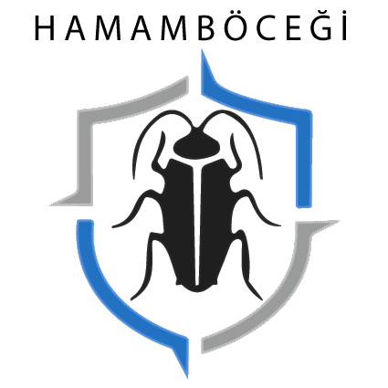 hamam-bocegi1.png