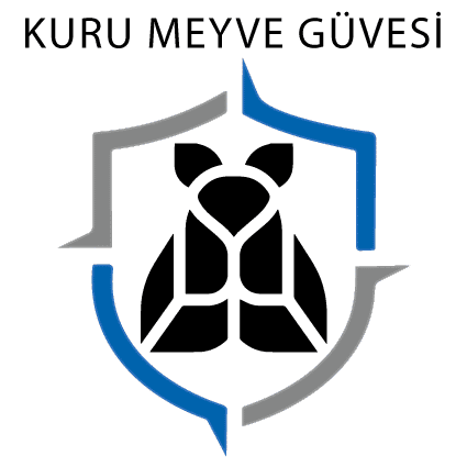 kuru-meyve-guvesi1.png