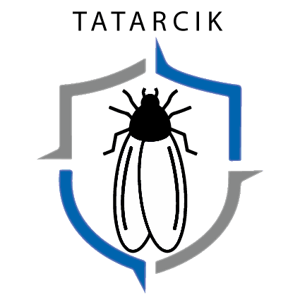 tatarcik1.png