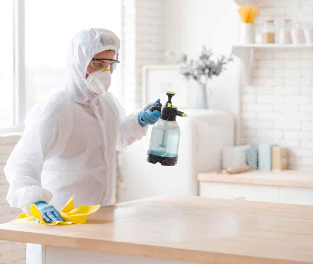 kafe ilaçlama ve restoran ilaçlama ve dezenfeksiyon hizmeti izmir kirazoglu ilaçlama